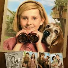 List of Movies With American in the Title, Ranked