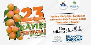 Son yıllarda kabaaşı, soğancı çeşitlerinin de yaygınlaştığı. 23 Uluslararasi Malatya Kultur Sanat Etkinlikleri Ve Kayisi Festivali Turkiye