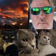 Fundraiser for Justin Dunagan by Abigail Thornton : Justin Dunagan loss of  all but cats: Lahaina Fire