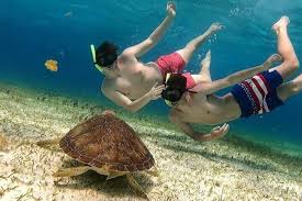 Snorkel en Palancar Cozumel