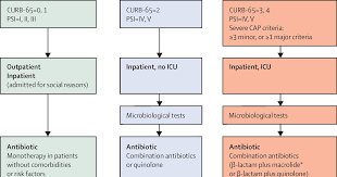 Using procalcitonin as a biomarker for severe infection may. Community Acquired Pneumonia Copd Treatment Hirup G