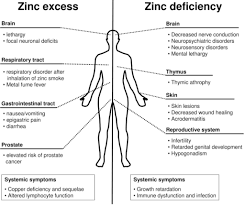 Image result for Zinc Deficiency