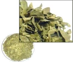 Feuilles De Sidr Jujubier Pour La Roqya Dietetique