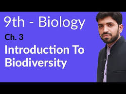 Introduction To Biodiversity Biology Ch 3 Biodiversity 9th Class Biology Youtube