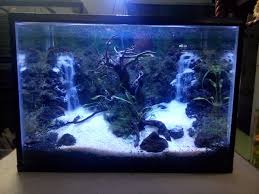 Pengiriman cepat pembayaran 100% aman. Jual Aquarium Bagus Dan Murah Di Lapak Bray Aquascape Bukalapak