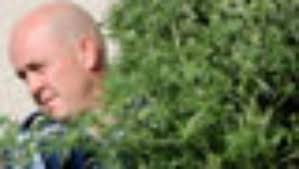 Cannabis removed from Blenheim house