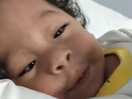 Fundraiser by Ubaldo Aguilar : Job merece un ultimo adios, necesitamos tu  ayuda!