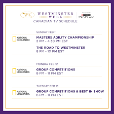 Ioc is targeting july 23 start date for tokyo games and is trying to ensure maximum participation from all competitors. Westminster Dog Show Canadian Tv Schedule