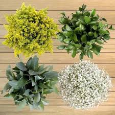 We did not find results for: 100 Stem Fillers And Greens Costco Flowers Wedding Flowers Wedding Flower Arrangements