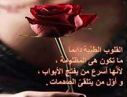 طيبة قلبي مشكلتي لؤي مرهج النسخه الاصليه.mp3. Xx 9 Vnwkadp0m