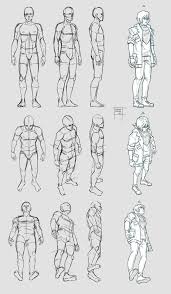 31.12.2018 · female muscles reference. Back Muscles Drawing Reference Anime Novocom Top