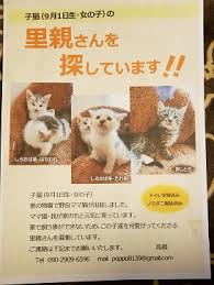 里親募集 千葉市中央区蘇我 の 動物病院 そが動物病院