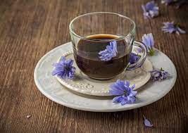 Chicory Root Is It Safe During Pregnancy Kingdom Of Baby