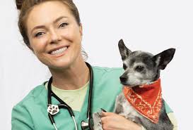 Emergency Vet Torrance, CA