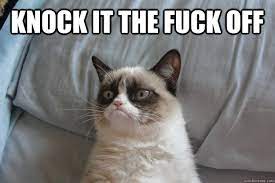 Knock It The Fuck Off Grumpycatol Quickmeme