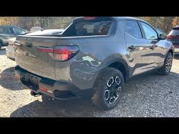 Image result for Hampton Gray 2022 Santa Cruz