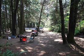Van damme state park camping. Schoner Campingplatz Van Damme State Park Mendocino Reisebewertungen Tripadvisor