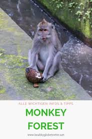 Der Affenwald In Ubud Tipps Tricks Healthy Globetrotter Ubud Wochenendreisen Reiseideen