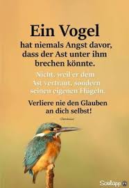 Die 265 Besten Bilder Von Zitate Und Weisheiten In 2019