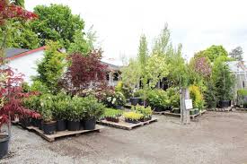 Click on a zone within a county for more information about the general landslide hazard forecasted for that area. Trees And Plants Gibsons Landscape And Nursery