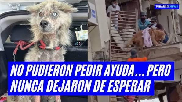 Hay familias vivas!": del dolor a la indignación en Venezuela tras doblete  sísmico - YouTube