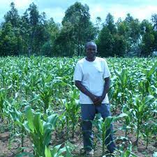 pin auf sustainable food