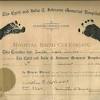 The united states standard certificate of live birth. 1