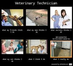 Technologists then perform tests on the samples, assist. Technician People What People Think I Do What I Really Do Vet Tech Humor Vet Tech Student Vet Tech School