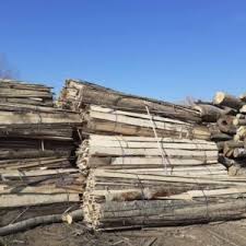 Lutul constituie aproximativ 20% din volumul lemnelor. Lemne De Foc Fabrica Cherestea Ro