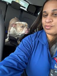 Found friendly dog at oak and 7th street