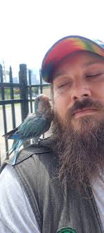 Parakeet found near community pool in Somerset, New Jersey