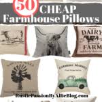 We did not find results for: 50 Farmhouse Pillows For Cheap You Will Want Them All