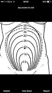 For The Pregnant Ladies Out There This Will Help You Track Your Growth 16 Weeks Pregnant Pregnant Sleep 15 Weeks Pregnant