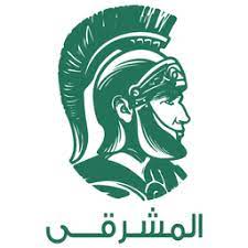 اسعار احواض المطبخ الاستانلس الكوري من شركة هانز 2015 المشرقي للادوات الصحية ashtray windows