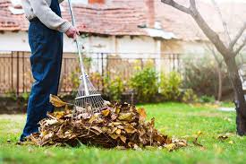 Zwischen märz und mai endet ihre ruhephase und sie kommen. Garten Im Fruhling Todos Fur Den Start In Die Neue Gartensaison