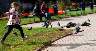 Formular pentru copii nascuti in spatiul ue. Cum Se Va Calcula AlocaÅ£ia De Stat Pentru Copii