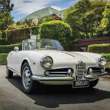 Image result for Bianco Antico 1967 Alfa-Romeo