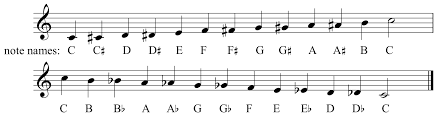 According to the pattern of notes in the rhythm tree, the double whole note divides into two whole notes referred to as semibreves. Music Theory Foundations In A Few Lines Of Code By Ezra Sandzer Bell Medium