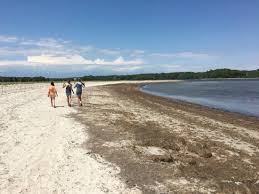 Low Tide Sand Bars Picture Of Demarest Lloyd State Park