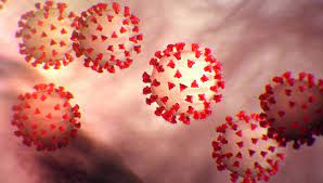 Around 40 cases of the delta plus variant, classified as a variant of concern (voc), have been detected sporadically in maharashtra, kerala and madhya pradesh, the union health. What Is The Delta Plus Variant Wkbn Com