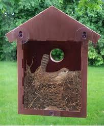 Bird House Kits For Adults Amazon Robot Check Bird House Window Birdhouse Bird Houses