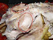 Oyster Fowl Wikipedia