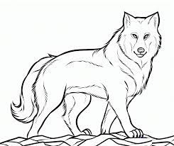 Includes images of baby animals, flowers, rain showers, and more. Free Printable Wolf Coloring Pages For Kids Coloring Library