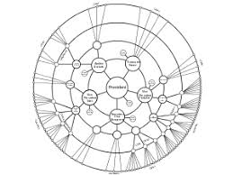 radial tree wikipedia