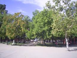 There are 5 ways to get from talcahuano to talca by bus, train, taxi or car. Talca Chile