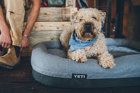 We did not find results for: 10 Best Dog Beds Of 2021 Hiconsumption