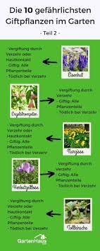 Ihre kirschgroßen, schwarzen beeren sehen zum anbeißen aus. Die 10 Gefahrlichsten Giftpflanzen Im Garten Giftpflanzen Pflanzen Giftige Pflanzen