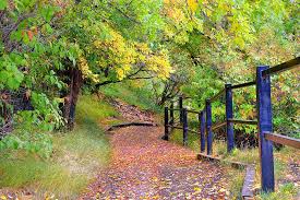 Rivervalley townhomes has a walk score of 49 out of 100. River Valley Trail In Glenora Edmonton Photograph By Carol C