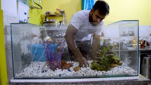 Mar 15, 2021 · how to fill the tank 1. Aquarium First Time Setup Youtube