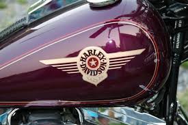 Image result for Violet Pearl 1998 Motorcycle